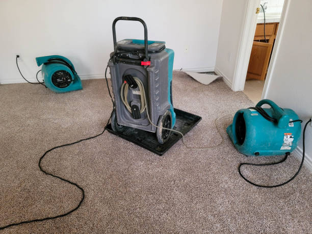 Best Professional water damage repair  in Ridge Wood Heights, FL