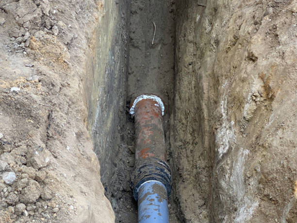 Best Flood restoration services  in Ridge Wood Heights, FL