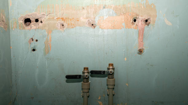 Best Water damage cleanup near me  in Ridge Wood Heights, FL