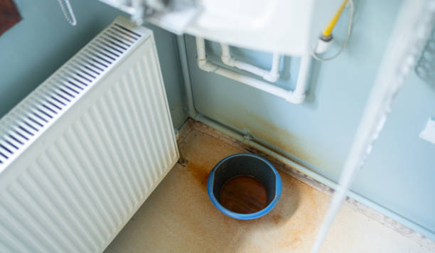 Best Mold removal after water damage  in Ridge Wood Heights, FL