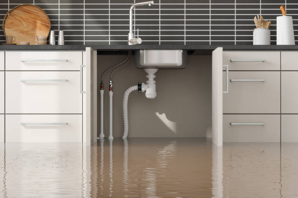 Best Flooded house restoration  in Ridge Wood Heights, FL