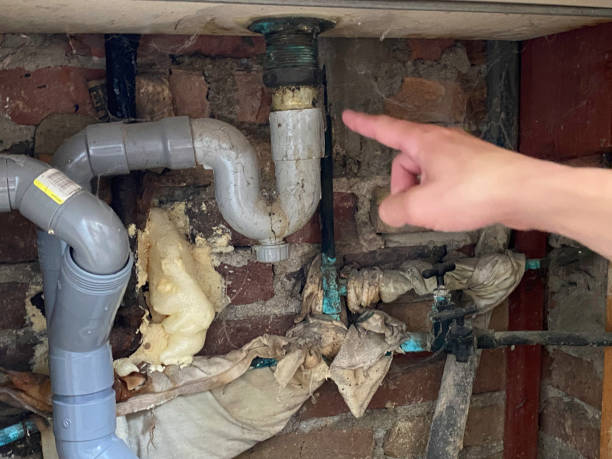 Best Fire Damage Restoration  in Ridge Wood Heights, FL
