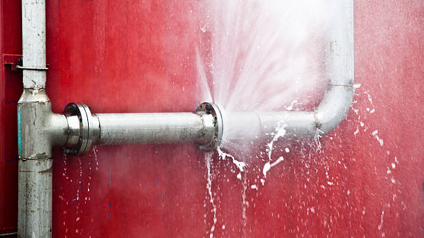  Ridge Wood Heights, FL Water damage restoration Pros